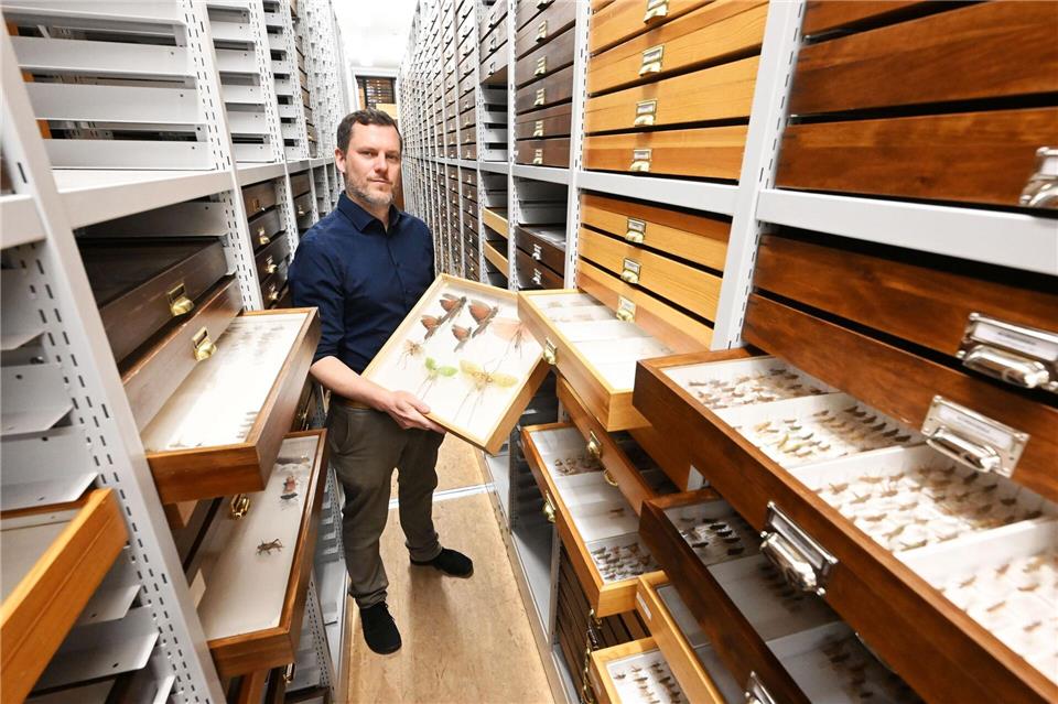 Martin Husemann ist Heuschreckenexperte und leitet das Karlsruher Naturkundemuseum.Uli Deck/dpa