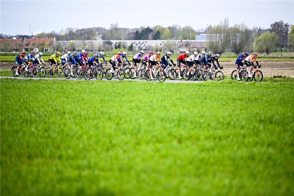 Mathieu van der Poel gewann zum dritten Mal in Serie den E3-Preis.Jasper Jacobs/Belga/dpa