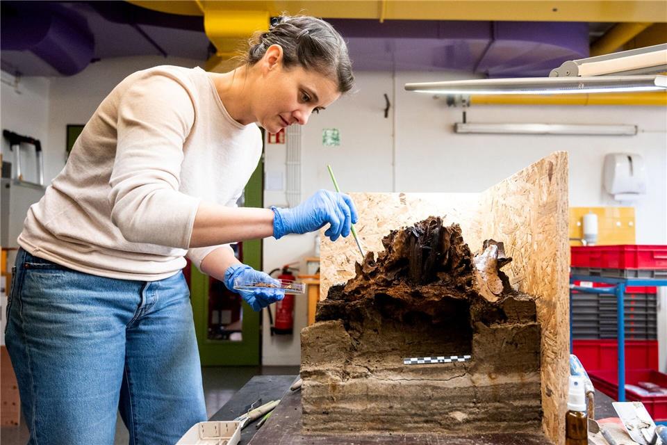 Mayer geht bei ihrer Arbeit sehr vorsichtig vor.Daniel Bockwoldt/dpa