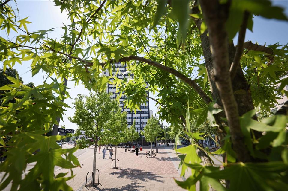 Mehr Grün in der Stadt ist das Ziel des Senats. (Symbolbild)Christian Charisius/dpa