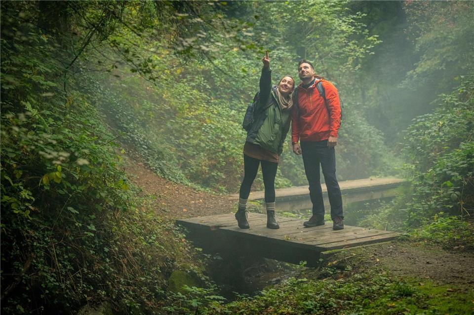 Mehr Zeit für Entdeckungen am Wegesrand: Drei der neuen Routen sind als leichte Spazierwanderwege ausgewiesen. Dominik Ketz/Ahrtal Tourismus/dpa-tmn
