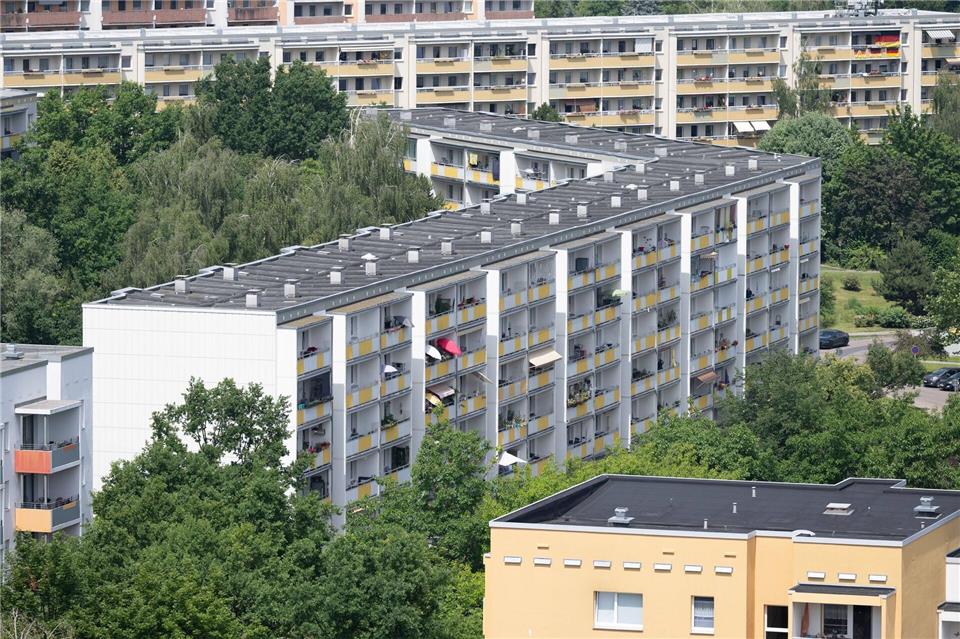Mehr als 300.000 Mieter haben die Wucher-App nach Angaben der Linken bereits genutzt. (Archivbild)Sebastian Kahnert/dpa