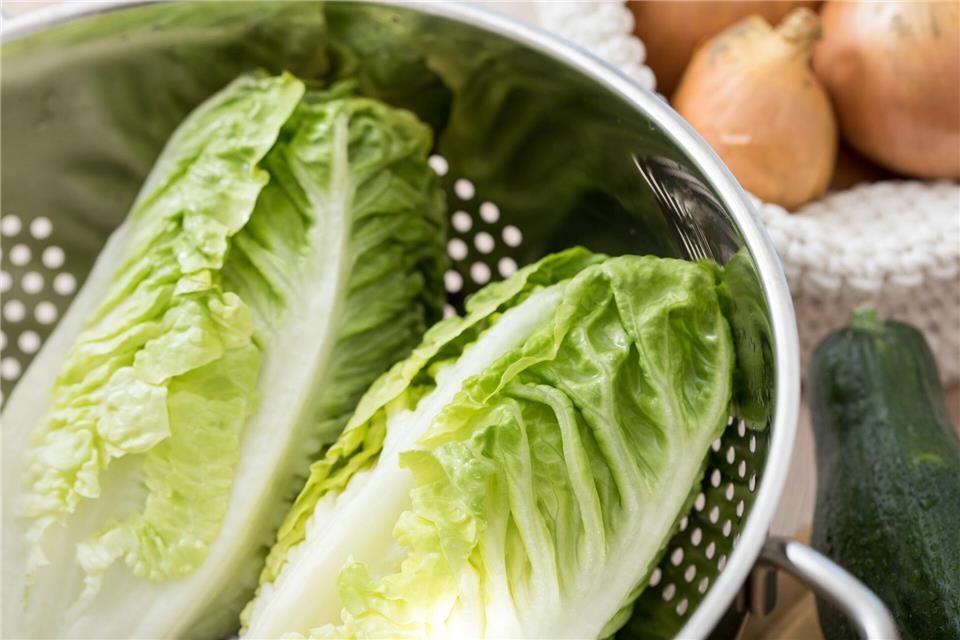 Mehr als nur Rohkost: Romanasalat kann nicht nur Salat – man kann ihn auch dünsten, braten oder grillen, ohne dass er zerfällt.picture alliance / dpa-tmn