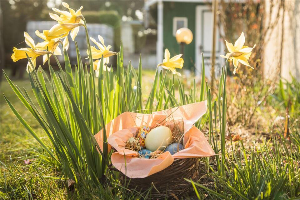 Mehr als nur Schokolade: Ein buntes Osternest kann auch gesunde Alternativen enthalten.picture alliance / dpa-tmn
