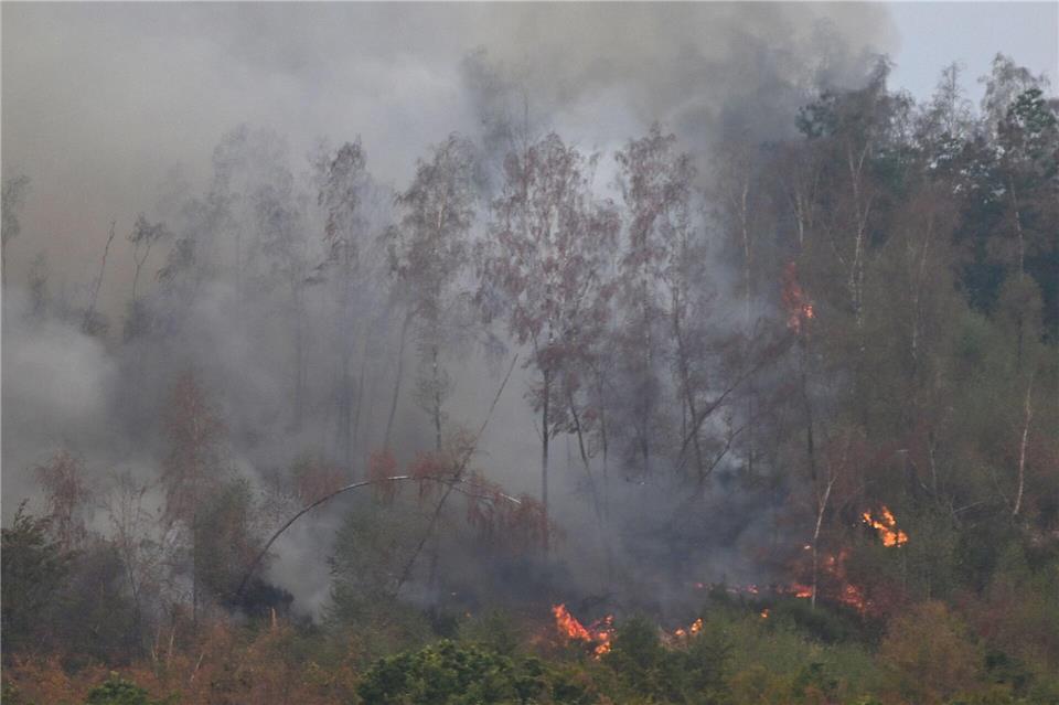 Mehrere Hundert Hektar Waldfläche brennen.Federico Gambarini/dpa