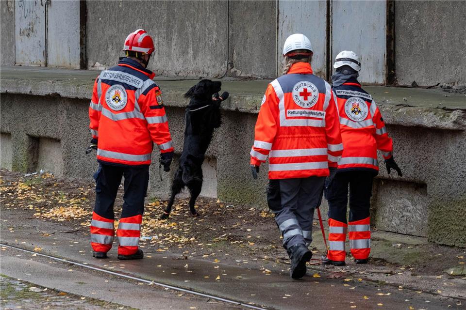 Mehrere Rettungshundestaffeln suchen in Güstrow nach einem Jungen.Stefan Sauer/dpa