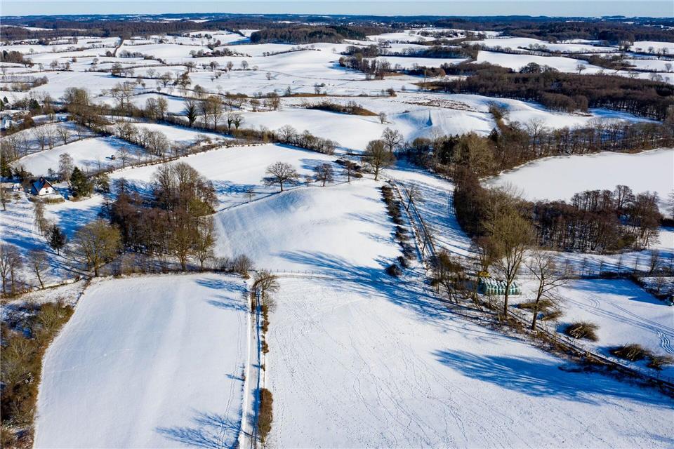 Mehrere Zehntausend Kilometer Knicks prägen die Kulturlandschaft Schleswig-Holsteins. (Archivbild)Axel Heimken/dpa