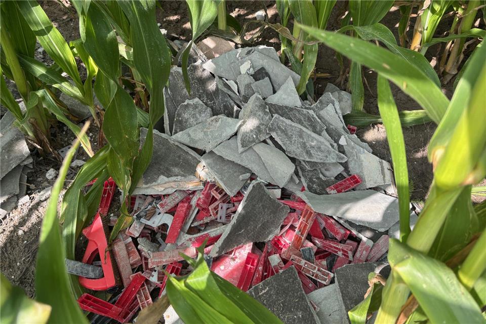 Mehrere solcher Haufen Bauschutt haben Unbekannte in einem Maisfeld am Ollipättken hinterlassen.