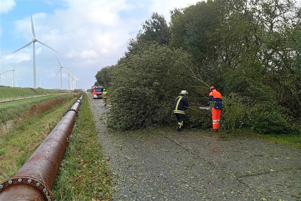 Mehrfach rückten Einsatzkräfte aus, um umgefallene Bäume von Straßen zu räumen.Feuerwehr Emden/dpa