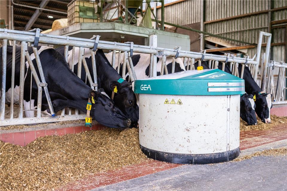 Melkroboter von Gea auf einem Bauernhof in Ahaus. (Archivbild)Guido Kirchner/dpa