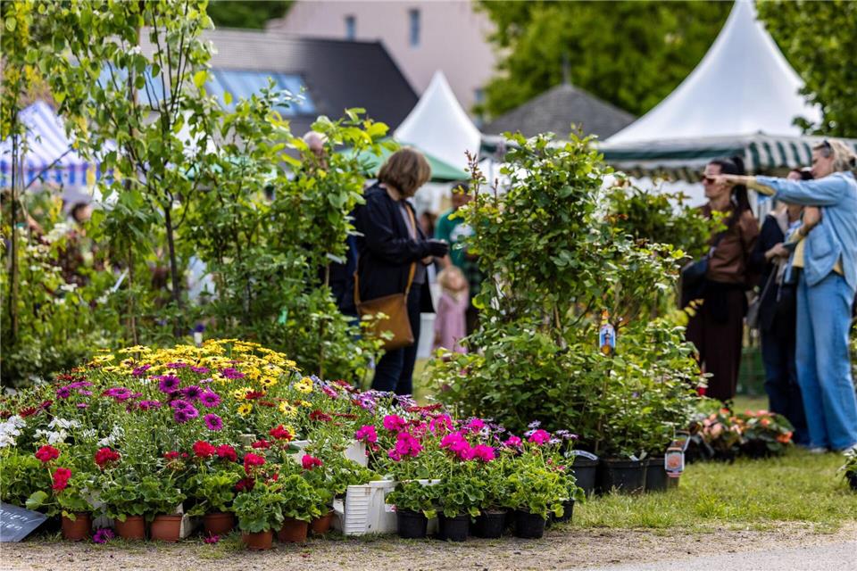 Menschen besuchen das Branitzer Gartenfestival. Frank Hammerschmidt/dpa