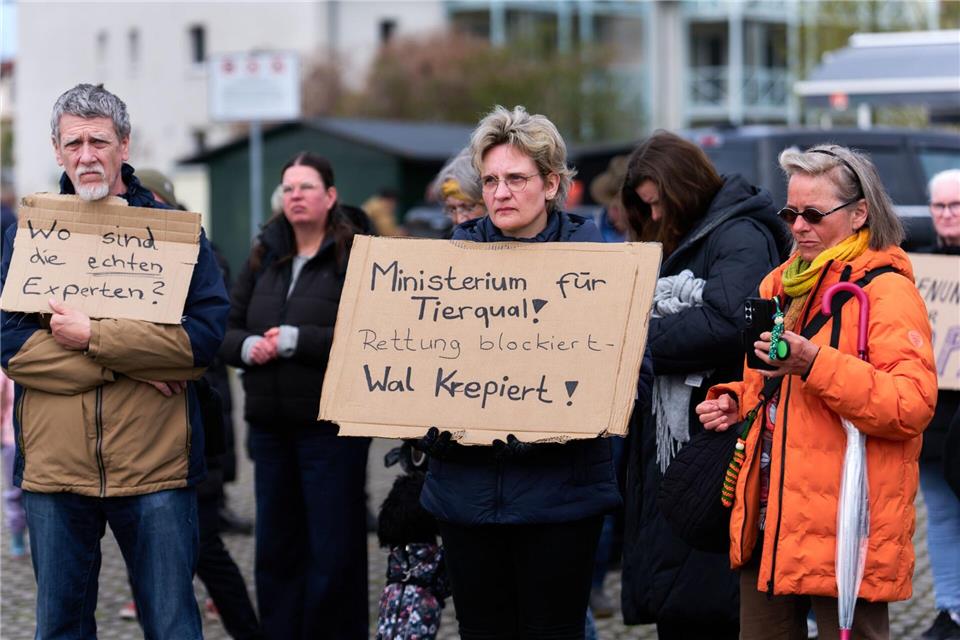 Menschen demonstrierten bereits in den vergangenen Tagen für die Rettung des gestrandeten Buckelwals. (Archivbild)Marcus Golejewski/dpa