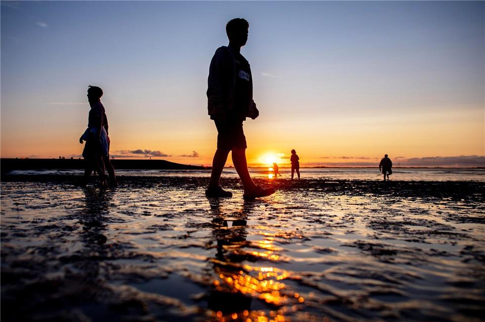 Menschen gehen beim Watt en Schlick Festival am Strand von Dangast bei Sonnenuntergang durch das Watt.Hauke-Christian Dittrich/dpa