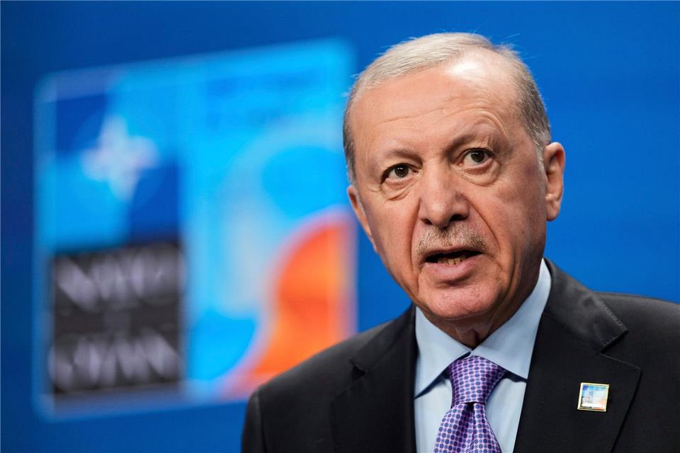 Menschenrechtsorganisationen kritisieren das Vorgehen des türkischen Präsidenten Recep Tayyip Erdogan gegen die Opposition - den Nato-Gipfel darf er dennoch ausrichten. (Archivbild)Matthias Schrader/AP/dpa