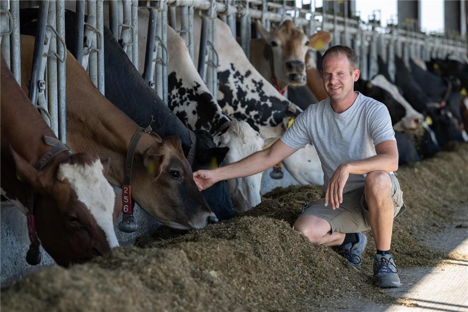 Milchbauer Marcus Geck sieht die Futterknappheit wegen der anhaltenden Trockenheit mit Sorge.Boris Roessler/dpa