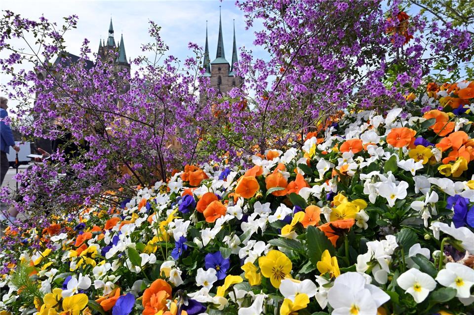 Milder, trockener und sonniger als in Vergleichsjahren - das war der April in Thüringen. (Symbolbild)Martin Schutt/dpa