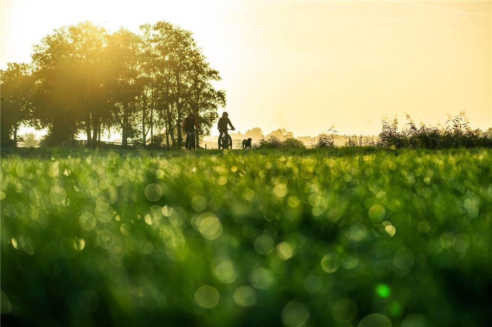 Mildes Herbstwetter für die kommenden Tage prognostiziert der DWD - die Sonne bleibt aber rar. Sina Schuldt/dpa