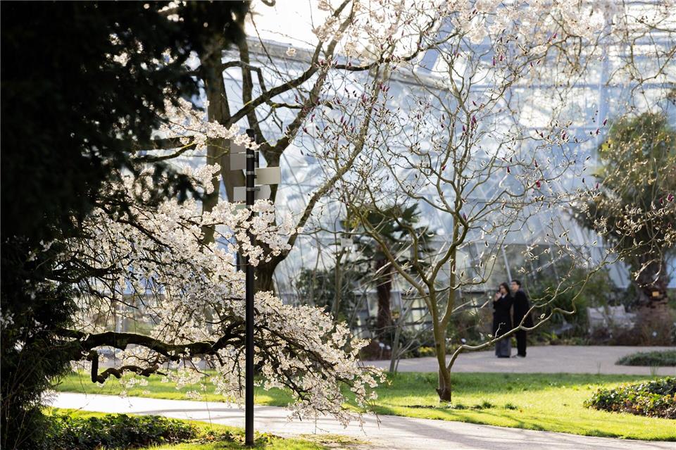 Mildes Wetter und viel Sonnenschein in NRWRolf Vennenbernd/dpa