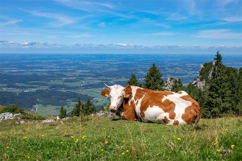 Mindestens am Samstag gibt es noch einmal mildes Ausflugswetter. (Archivbild)   Peter Kneffel/dpa