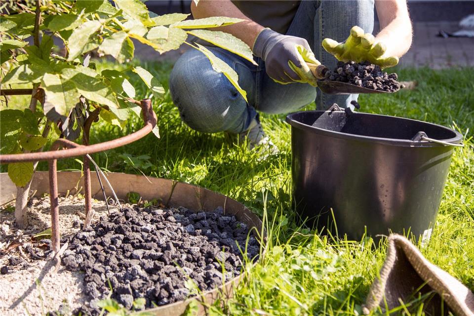 Mineralischer Mulch wie Lavamulch kommt direkt bei der Neupflanzung auf den Boden.Christin Klose/dpa-tmn