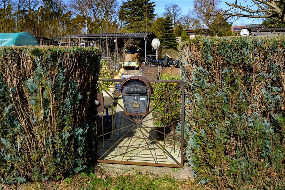 Ministerin Gorißen hat mehrere Kleingärten ausgezeichnet. (Symbolbild)Patrick Pleul/dpa