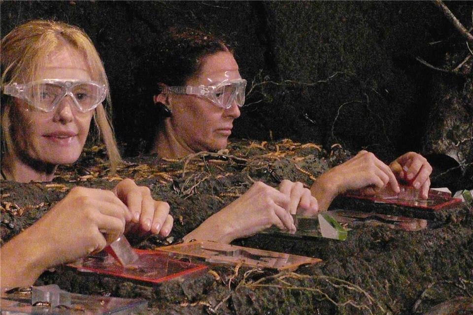 Mirja du Mont scheiterte am Puzzle, Simone Ballack nicht. (Archivbild)RTL/dpa