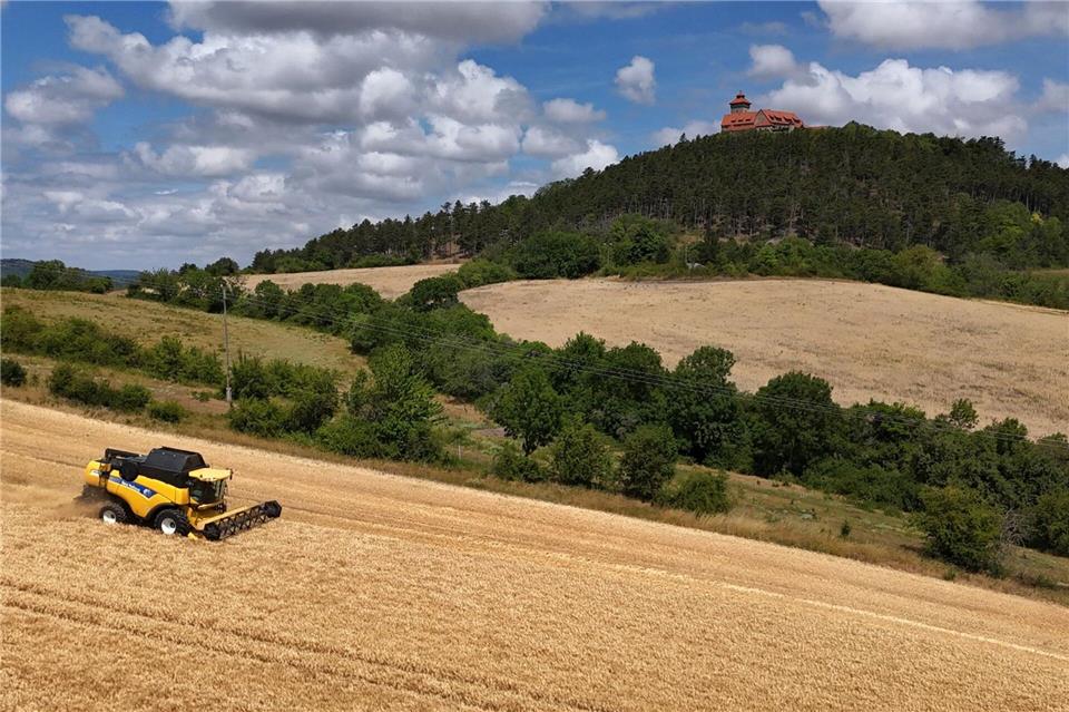 Mit 2,6 Millionen Tonnen haben Thüringens Bauern in diesem Jahr ein Spitzenergebnis bei der Getreideernte eingefahren. (Archivbild)Martin Schutt/dpa