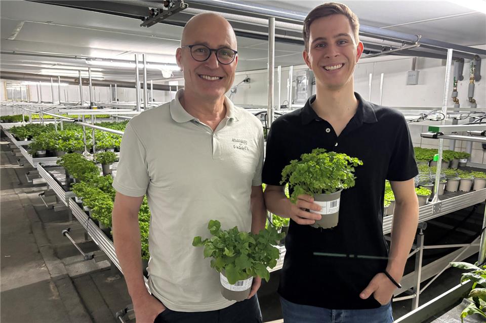 Mit Basilikum fing es 2025 an, inzwischen bauen Stefan und Thorsten Lansmann-Niehaus (von links) in den ehemaligen Schweineställen auch weitere Kräuter und Salat an.