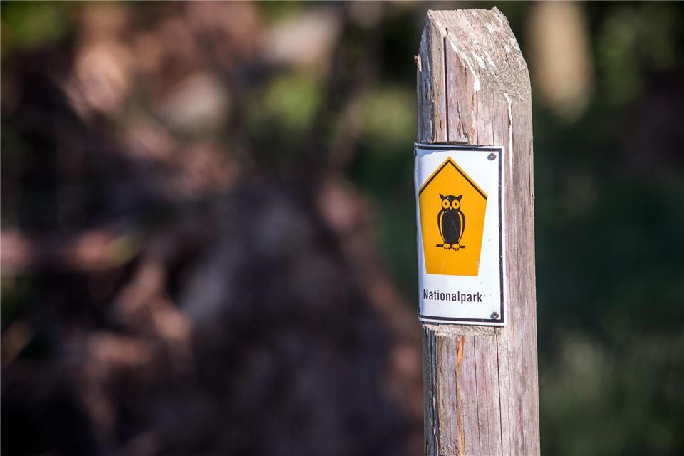 Mit Flora und Fauna sollten die Menschen in der Natur behutsam umgehen. (Symbolbild)Jens Büttner/dpa-Zentralbild/ZB