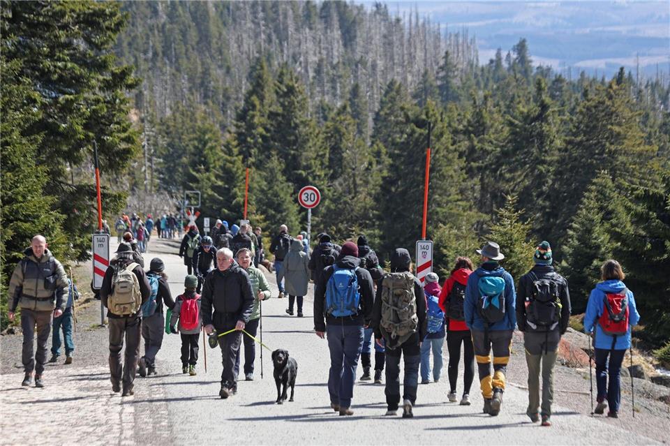 Mit Kind, mit Hund - auf jeden Fall warm angezogen waren viele Menschen am Brocken unterwegs.Matthias Bein/dpa