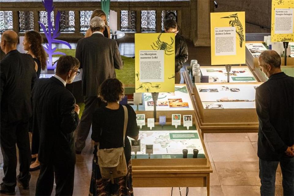 Ein Blick ins Leben der Loki Schmidt  „Mit Loki in die Welt“ - Blick in die Ausstellung im Museum für Hamburgische Geschichte. Foto: Markus Scholz