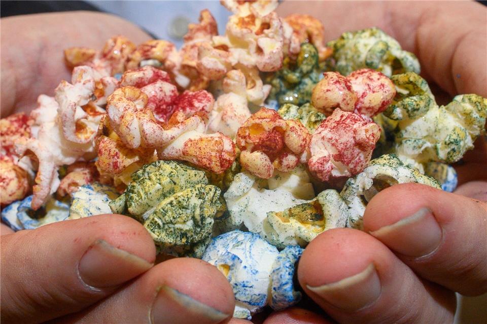 Mit Mikroalgen gefärbtes Popcorn in den Händen eines Ökotrophologie-Studenten der Hochschule Anhalt.Klaus-Dietmar Gabbert/dpa