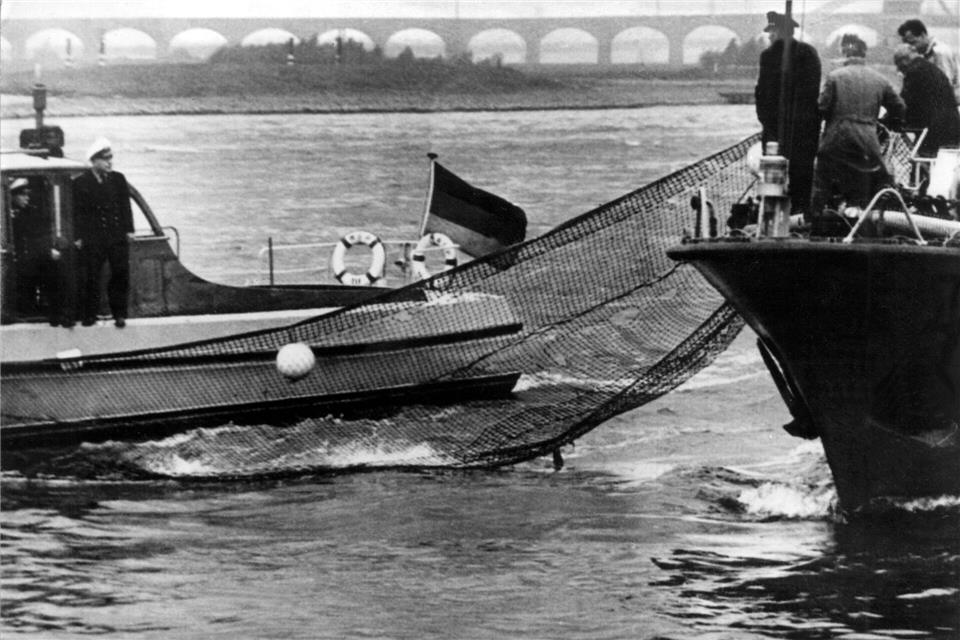 Mit Netzen und Stangen versuchten Helfer, den Wal in die richtige Richtung zu lenken - vergebens. (Archivbild)picture alliance / dpa