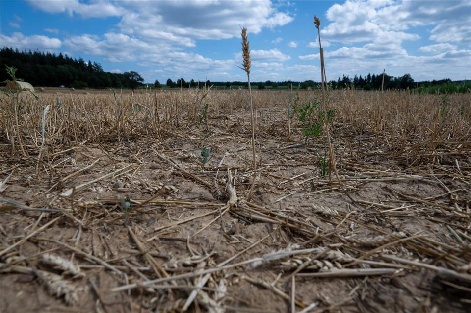 Mit Regen ist frühestens ab Donnerstag vereinzelt zu rechnen. (Symbolbild)Harald Tittel/dpa