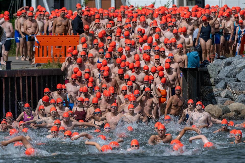 Mit Schwung ins kühle Nass - die Teilnehmer starten zum Internationalen Sundschwimmen im Hafen von Parow bei Stralsund. Stefan Sauer/dpa