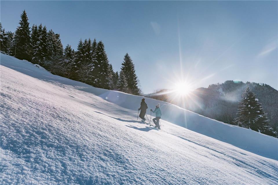 Mit Stöcken durch die Winterlandschaft: Schneeschuhwanderer im Karwendel.Mia Maria Knoll/TVB Silberregion Karwendel/dpa-tmn