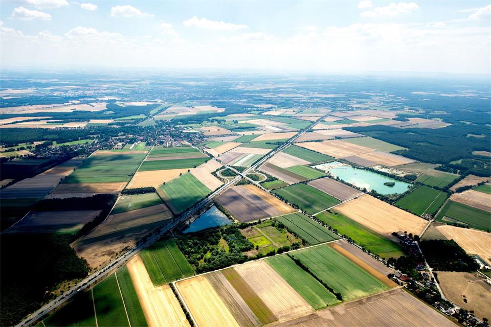 Mit dem Agrarstrukturgesetz will die Landesregierung zu hohe Preisanstiege bei Landwirtschaftsflächen verhindern. (Archivbild)Hauke-Christian Dittrich/dpa