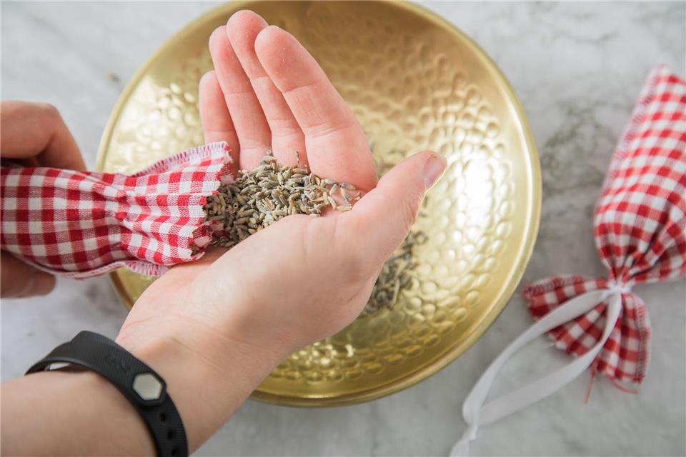 Mit dem Duft von Lavendel, Zimt oder Pfefferminze lassen sich Ameisen von bestimmten Orten fernhalten.picture alliance / dpa-tmn