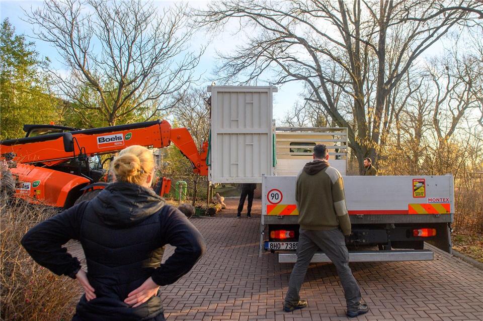Mit dem Lastwagen ging es für Malia von Magdeburg nach Tschechien.Klaus-Dietmar Gabbert/dpa