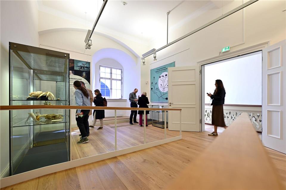 Mit dem neuen Treppenhaus mitsamt Aufzug haben auch Besucher nun an Barrierefreiheit gewonnen.Martin Schutt/dpa