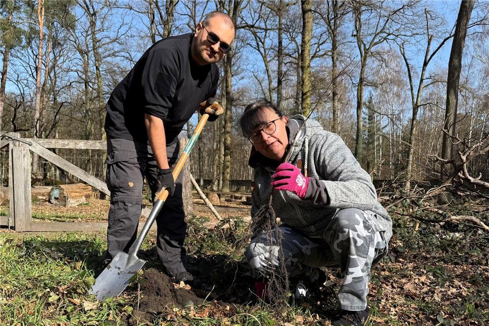 Mit den Pflanzungen soll der Wald robuster gegen die Klimaveränderung gemacht werden - auch Susanne und ihr Sohn Alexander sind dabei. Michael Bauer/dpa