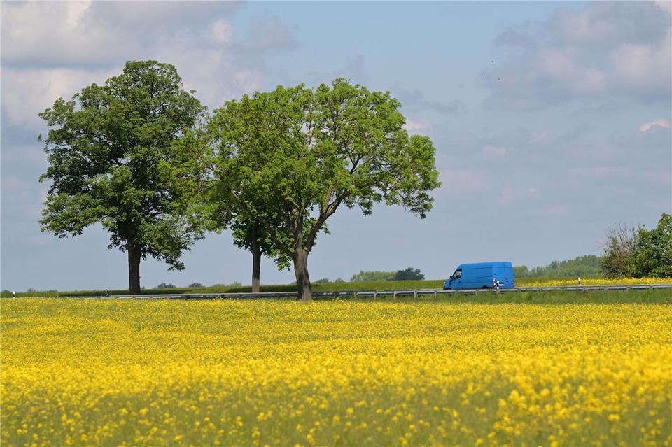 Mit den sommerlichen Temperaturen sind aber auch Gewitter möglich: Von der Prignitz bis zum Fläming kann es in der Nacht zum Mittwoch zu einzelnen Gewittern mit Starkregen und Sturmböen kommen. (Archivbild)Michael Bahlo/dpa