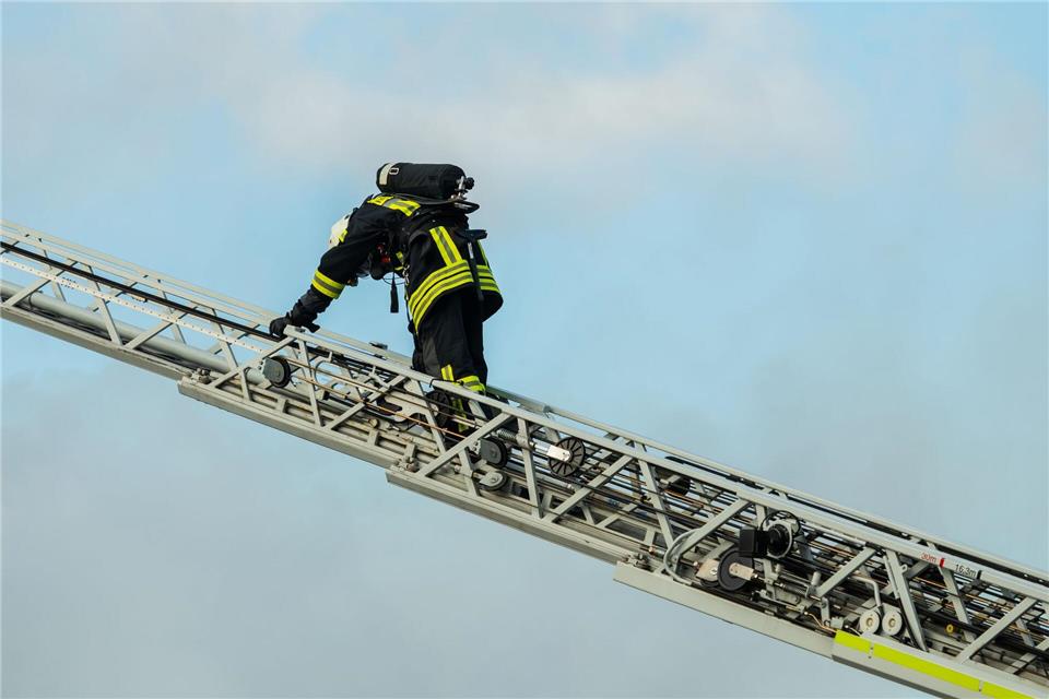 Mit der Drehleiter hat die Feuerwehr einen entflogenen Papagei vom Dach eines Hauses in Bocholt geholt. (Symbolbild)Andreas Arnold/dpa