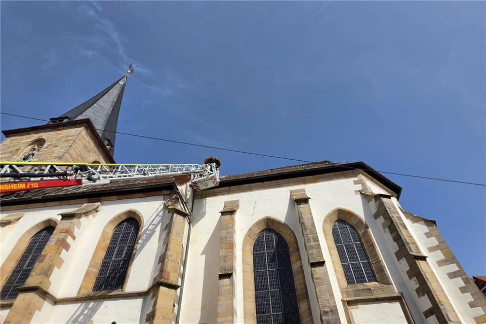 Mit der Drehleiter rückte die Freiwillige Feuerwehr Freinsheim am Pfingstsonntag an, um ein Storchenküken aus der Dachrinne der protestantischen Kirche zu retten. Marie-Louise Wiesenbach/privat/dpa