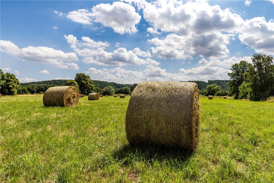 Mit der Maschine macht ein Landwirt gerade Heuballen, als diese plötzlich in Flammen aufgeht. (Symbolbild)Frank Hammerschmidt/dpa