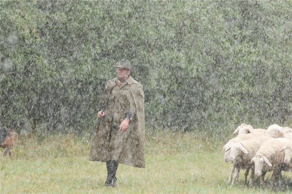 Mit eigenen Hunden und einer fremden Herde mussten die Schäfer in Hohenfelden bei einem Wettbewerb verschiedene Aufgaben erledigen. Bodo Schackow/dpa