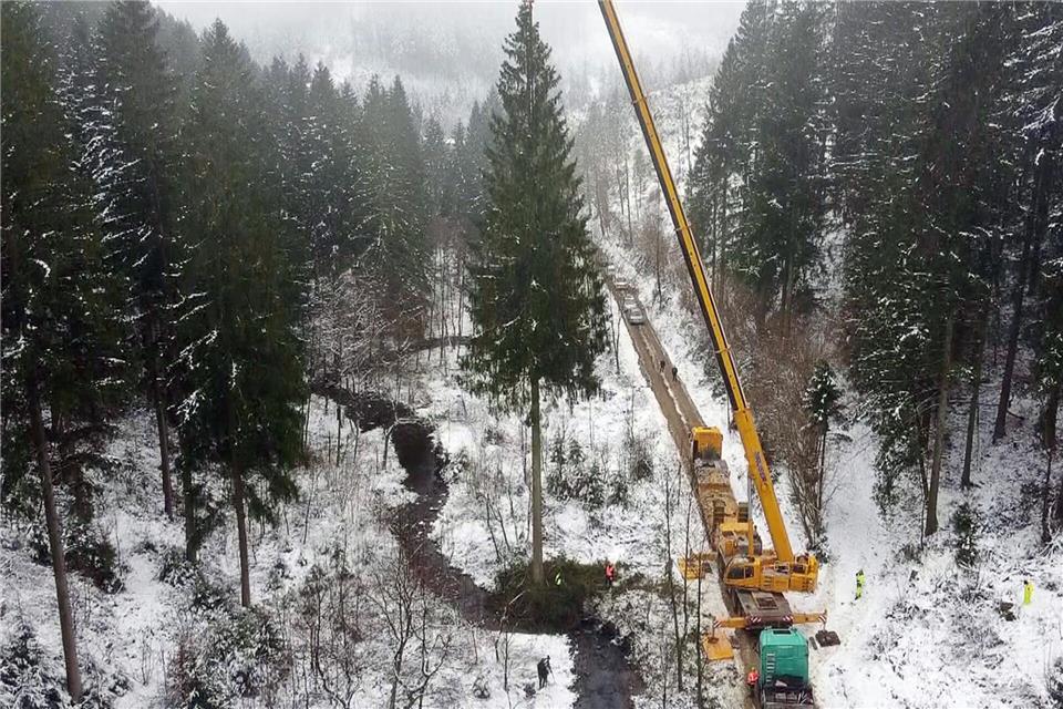 Mit einem Autokran wurde der Baum auf einen Tieflader gehoben.-/dpa