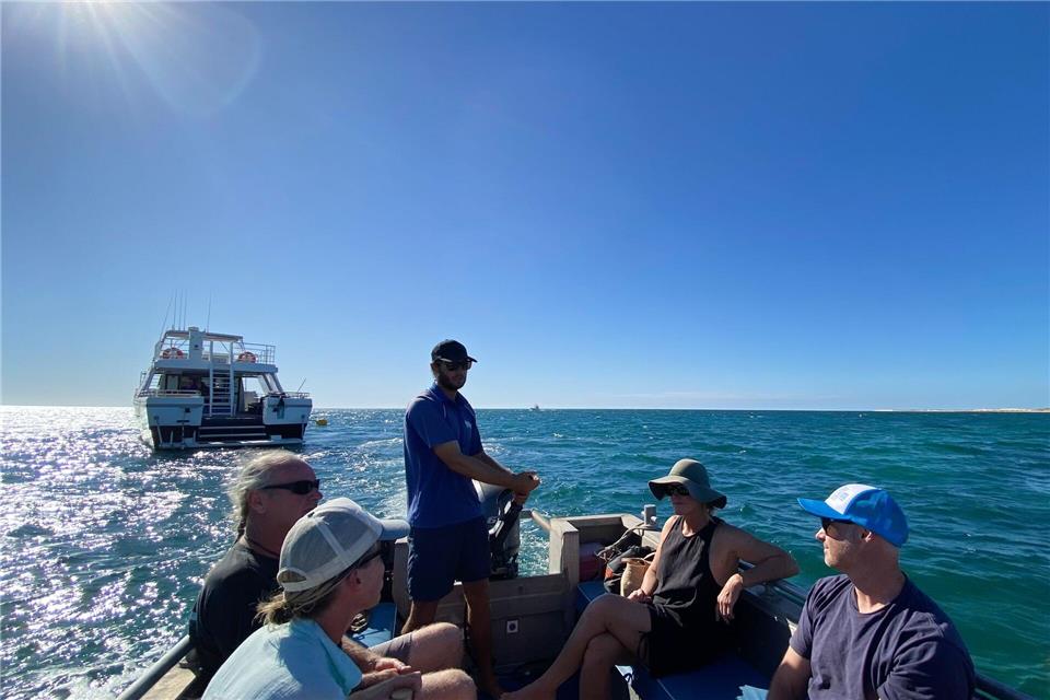 Mit einem Boot werden die Tourteilnehmer zum Exkursionsschiff gebracht.Stefan Weißenborn/dpa-tmn