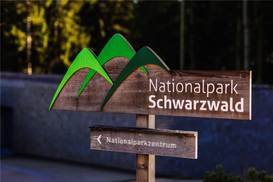 Mit einem Flächentausch ist nach Angaben der Umweltministerin auch die letzte Hürde für eine Erweiterung des Nationalparks im Schwarzwald genommen. (Archivbild)Philipp von Ditfurth/dpa