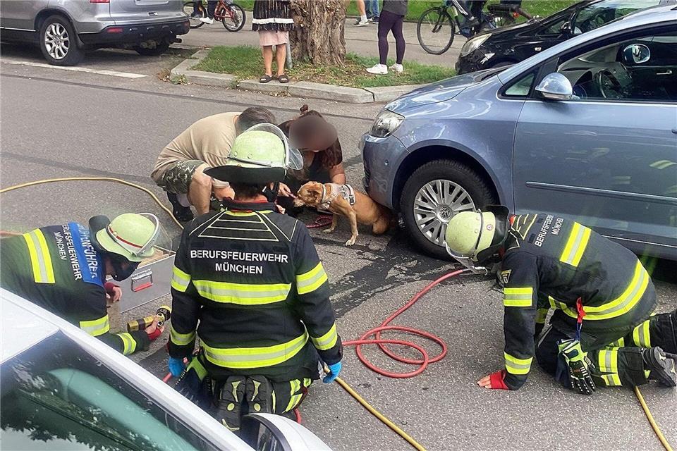 Mit einem Hebekissen holte die Feuerwehr Hündin Cookie unter dem Auto hervor.-/Berufsfeuerwehr München/dpa